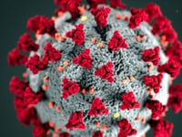 COVID-19 Day of Reflection to commemorate those lost during pandemic
