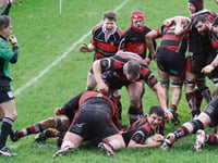 Teignmouth hooker Parsons has a nose for a try!