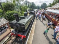 South Devon's Rails and Ales celebration