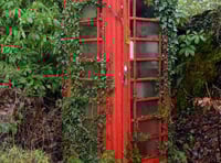 Phone box to greenhouse…
