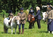 Dunsford delights