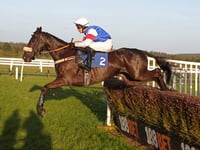 Inertia and Rex land hunter chase final