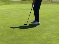 Debutant Ollie steers Stover to victory