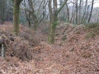 Digging up Dartmoor hill fort’s ancient past