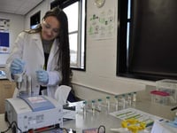 Cutting edge technology allows valuable insight into chemistry