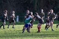 Newton Ladies put Duchy girls to the sword