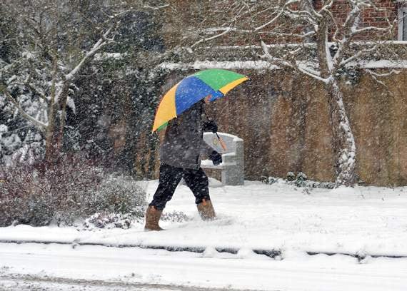 Storm Emma hits Devon hard