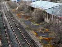 Heathfield railway line re-opening hopes ‘back on track’