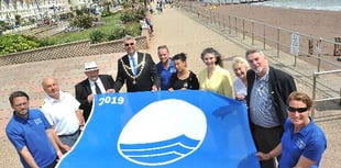 Feeling blue never felt so good