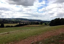 Concession stand at Dawlish country park and new homes – among this week’s planning applications in Teignbridge