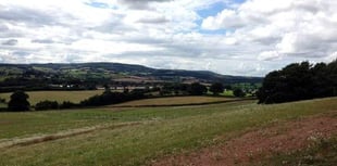 Concession stand at Dawlish country park and new homes – among this week’s planning applications in Teignbridge