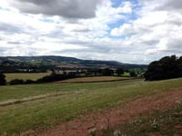 Concession stand at Dawlish country park and new homes – among this week’s planning applications in Teignbridge