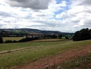 Concession stand at Dawlish country park and new homes – among this week’s planning applications in Teignbridge
