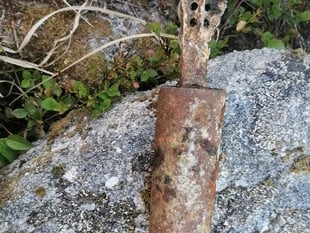 Bomb’s away… but no thanks to the dog as family walk unearths WW2 explosive