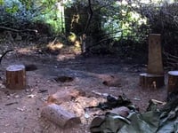 Special school needs your help after vandals wreck Dawlish Forest School