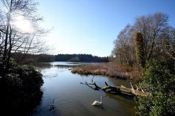 £341K Lotto grant to restore historic heritage of popular park near Newton Abbot