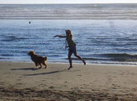 The beaches you cannot walk your dog on as summer beach ban ends