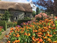 Culture Recovery grant will help keep The Garden House open over winter