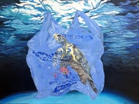 Environmental passion brings artists together for exhibition