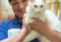 Adrenaline junkie Tracie tackles skydive in aid of cat charity