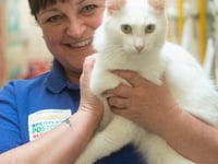 Adrenaline junkie Tracie tackles skydive in aid of cat charity