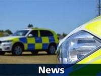 Sheep feared slaughtered then stolen for sale from Chudleigh as police warn rural community to be vigilant