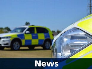 Sheep feared slaughtered then stolen for sale from Chudleigh as police warn rural community to be vigilant
