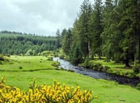 Dartmoor beauty spot begins to recover after emergency powers invoked after littering, human waste and 100 fire-pit