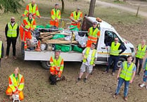 Forestry clean up? They're lovin' it!