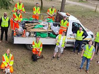 Forestry clean up? They're lovin' it!