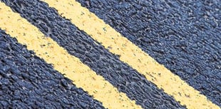 Yellow lines to curb dogwalkers' parking