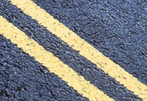 Yellow lines to curb dogwalkers' parking