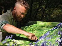 Down to earth artist in touch with nature
