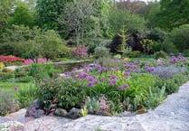How does your garden show?