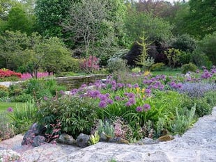 How does your garden show?