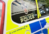 Police name A382 crash victim and appeal for information