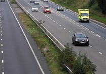 Family hopes for change in law after dog walker dies in freak accident, inquest hears