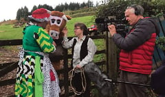 Panto Cow follows in War Horse’s footsteps