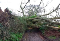 Travel only if necessary warning as Storm Eunice heads towards Teignbridge