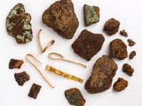 Dawlish Hoard goes on display in city museum