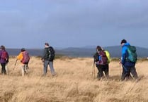 Newton Abbot Ramblers happy with fine weather at last