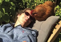 Ready for hen snuggles and cuddles?
