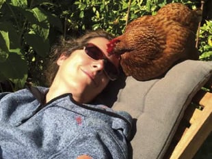 Ready for hen snuggles and cuddles?
