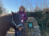 Pony charity devastated as thieves strike