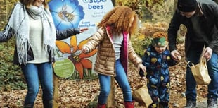 Nature lessons on  forest trail