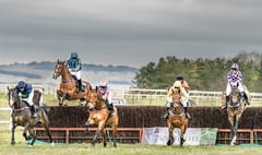 Point to point racing returns to Buckfastleigh course this weekend