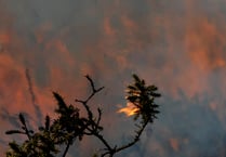 Firefighters battle Dartmoor gorse blaze