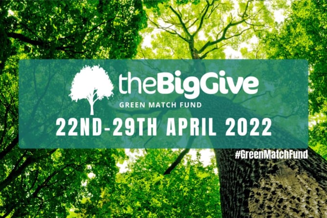 Green Match Fund 2022