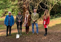 Teignmouth plants a tree to celebrate the Platinum Jubilee