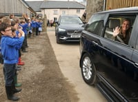 Don't miss Dartmoor farm's coffee morning